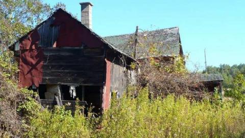 Basketcase - P1140429.jpg