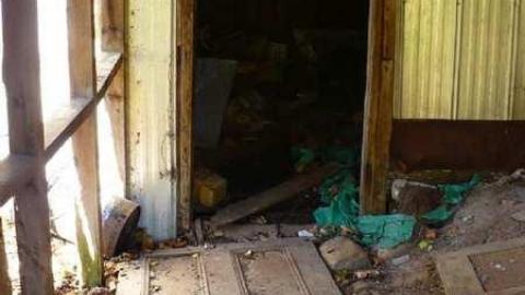 Basketcase - P1140433.jpg