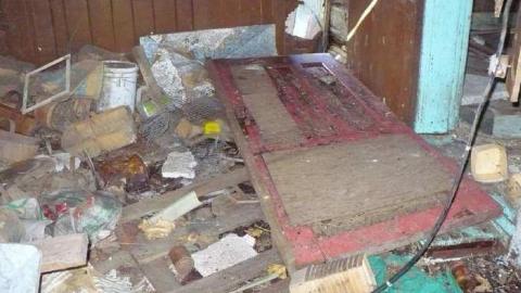 Basketcase - P1140434.jpg