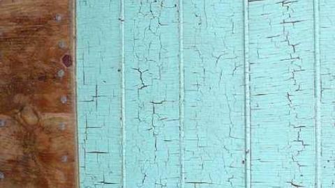 Basketcase - P1140437.jpg