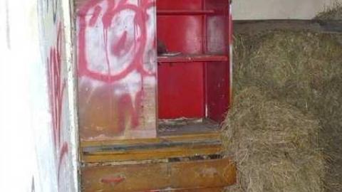 Basketcase - P1140438.jpg