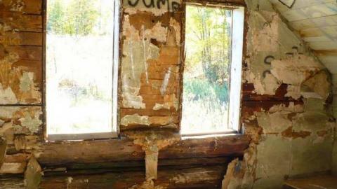 Basketcase - P1140439.jpg