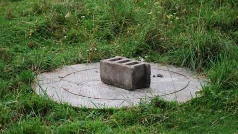 Photo from August 2010