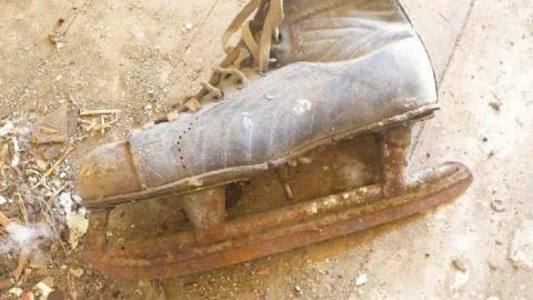 Basketcase - P1140441.jpg