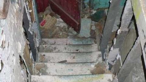 Basketcase - P1140442.jpg