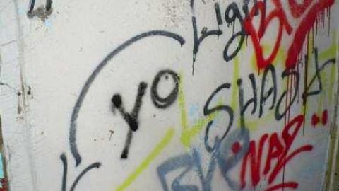 Basketcase - P1140443.jpg