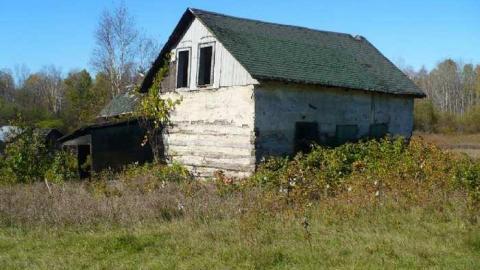 Basketcase - P1140448.jpg