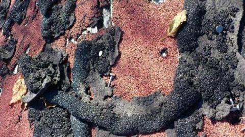 Basketcase - P1140451.jpg