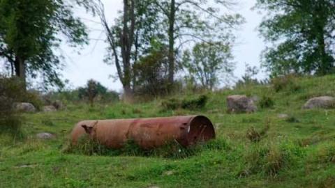 Photo from August 2010