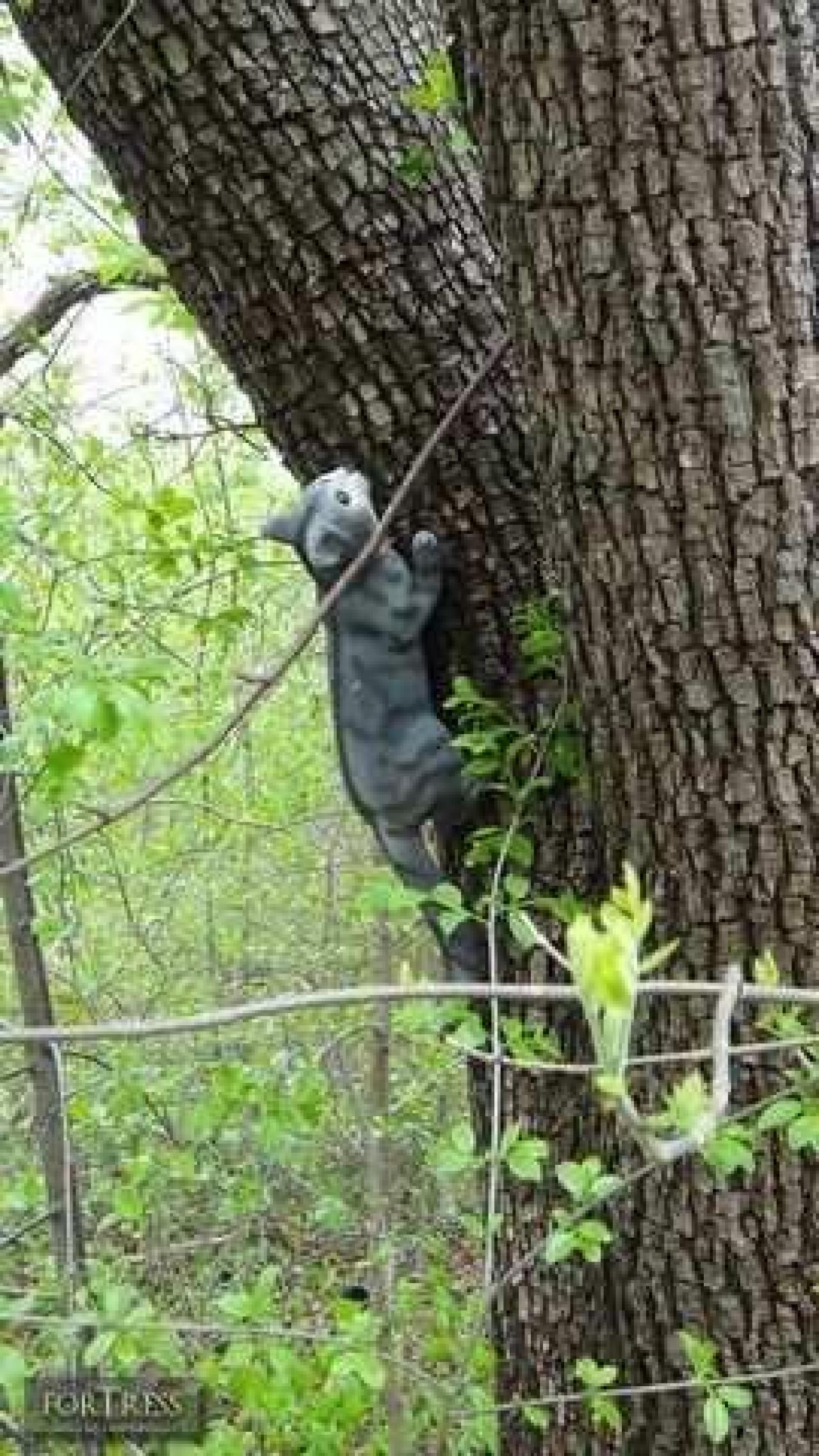 Skeeterville - IMG6.jpg