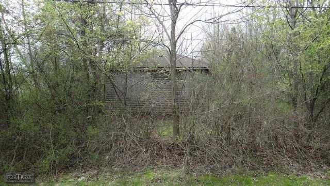 Skeeterville - IMG7.jpg