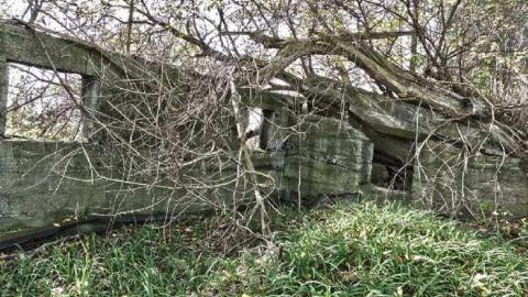 Lunch time explore - The-Cabinet-Maker4.jpg