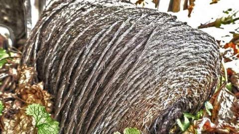 Lunch time explore - The-Cabinet-Maker27.jpg