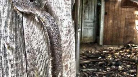 Lunch time explore - The-Cabinet-Maker31.jpg