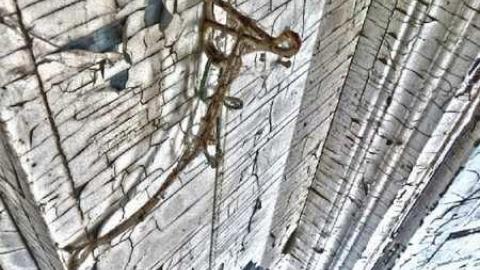 Lunch time explore - The-Cabinet-Maker34.jpg