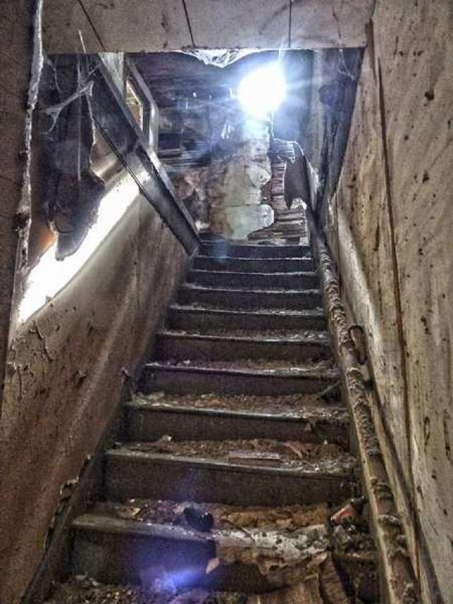 The Cabinet Maker photo 5