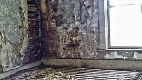 Lunch time explore - The-Cabinet-Maker32.jpg