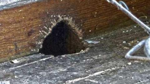 Lunch time explore - The-Cabinet-Maker33.jpg