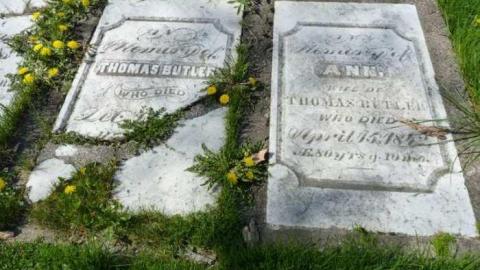 Butlers Burial Grnd Apr 2009 - Butler-Burial-Ground8.jpg