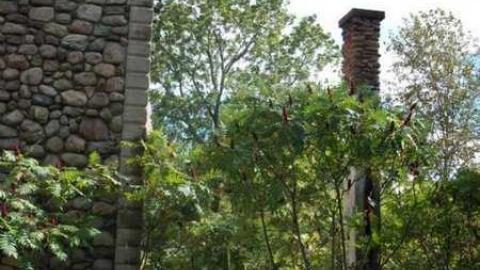 Eleanor Wrigley - DSCF2211.jpg