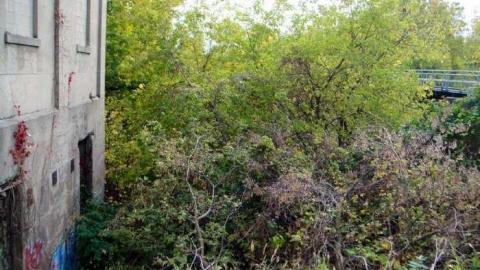 Dissatisfied - A-Little-Burnt-Out7.jpg