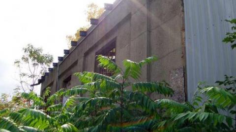 Dissatisfied - A-Little-Burnt-Out48.jpg