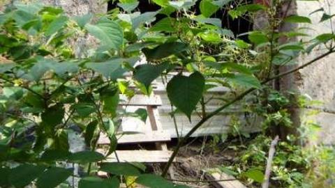 Photo from Dissatisfied