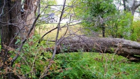 Homeless No More - Exeter-Road-House8.jpg