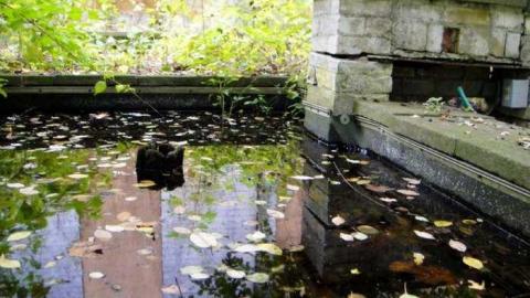 Desire - Fanshawe-Beauty49.jpg