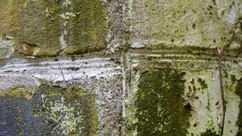 Desire - Fanshawe-Beauty43.jpg