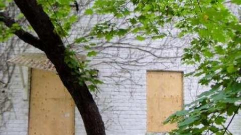 Desire - Fanshawe-Beauty51.jpg