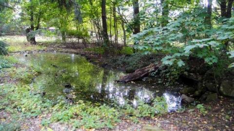 Desire - Fanshawe-Beauty47.jpg