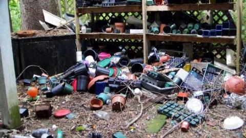 Desire - Fanshawe-Beauty54.jpg