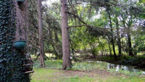 Desire - Fanshawe-Beauty77.jpg