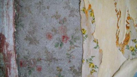 Photo from Fractured