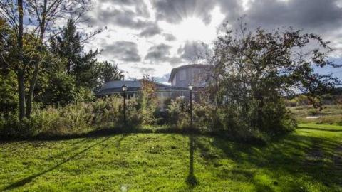 Gobble Gobble - Abandoned-Cat-Lady-House183.jpg