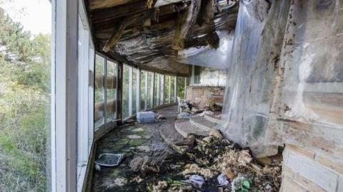 Gobble Gobble - Abandoned-Cat-Lady-House187.jpg