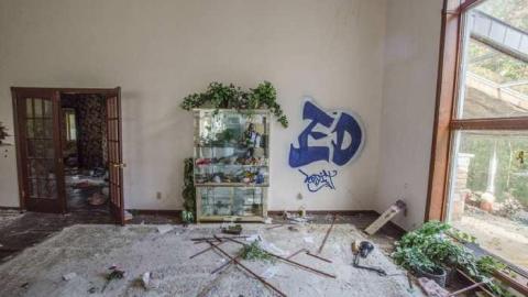 Gobble Gobble - Abandoned-Cat-Lady-House207.jpg