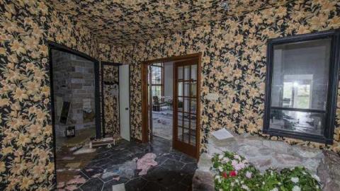 Gobble Gobble - Abandoned-Cat-Lady-House193.jpg