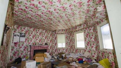 Gobble Gobble - Abandoned-Cat-Lady-House196.jpg