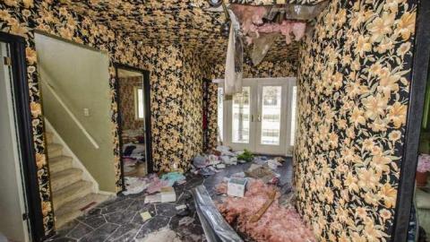 Gobble Gobble - Abandoned-Cat-Lady-House212.jpg