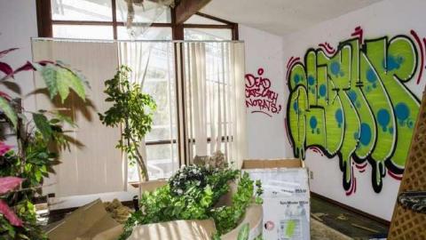 Gobble Gobble - Abandoned-Cat-Lady-House202.jpg