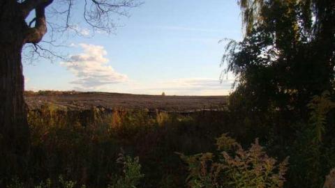 Gobble Gobble - Poor-Little-House,-Leslie-St.14.jpg