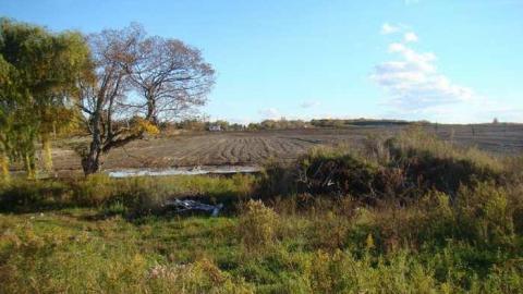 Gobble Gobble - Poor-Little-House,-Leslie-St.17.jpg