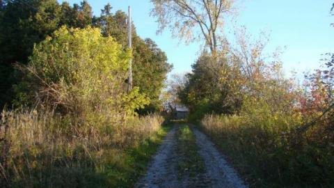 October 2013 - DSC01075.jpg