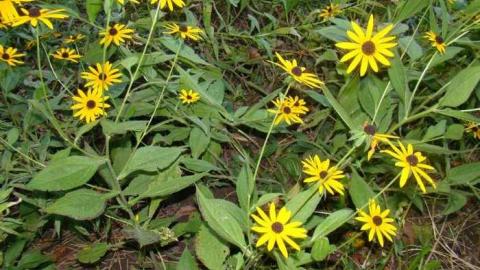 October 2013 - DSC01080.jpg