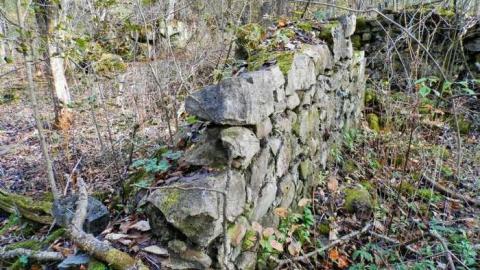 Crawford Lake Farm Stone Walls - PA160102.jpg