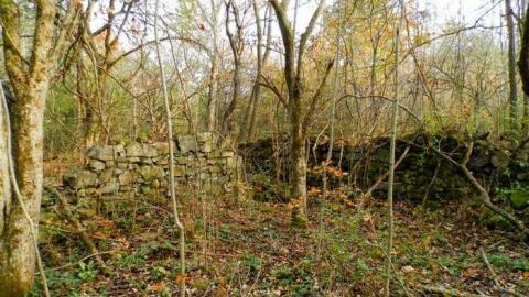 Crawford Lake Farm Stone Walls - PA160101.jpg