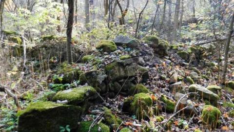 Crawford Lake Conservation Area photo 2