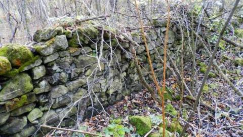 Crawford Lake Farm Stone Walls - PA160113.jpg